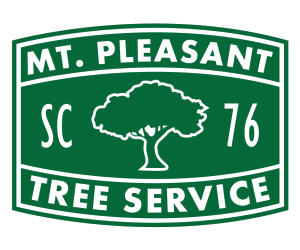 Mount Pleasant Tree Service